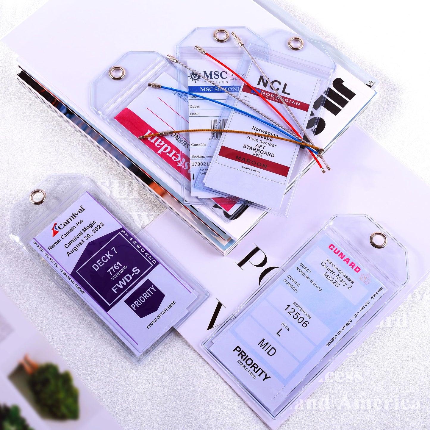 Cruise Ship Essentials for Carnival, Princess, NCL, MSC by JOLLYANTS, Cruise Luggage Tag Holders