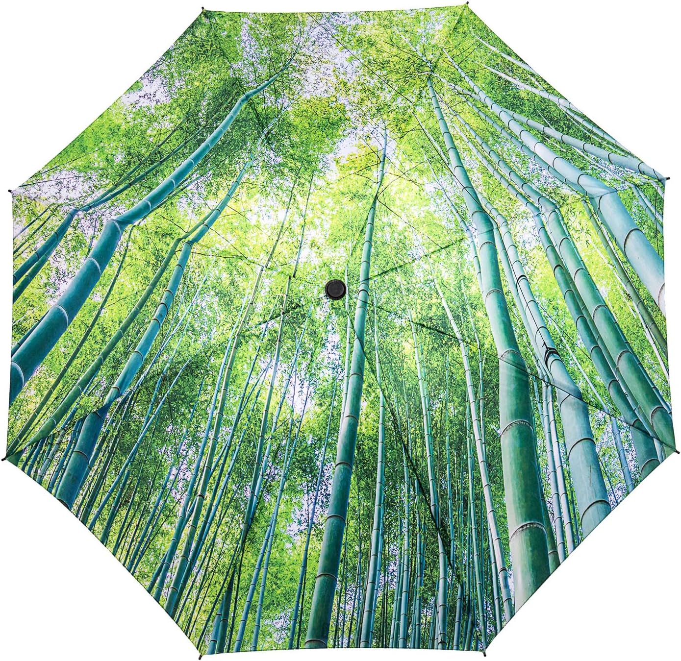 LANBRELLA Compact Reverse Folding Umbrella Auto Windproof Travel Umbrella