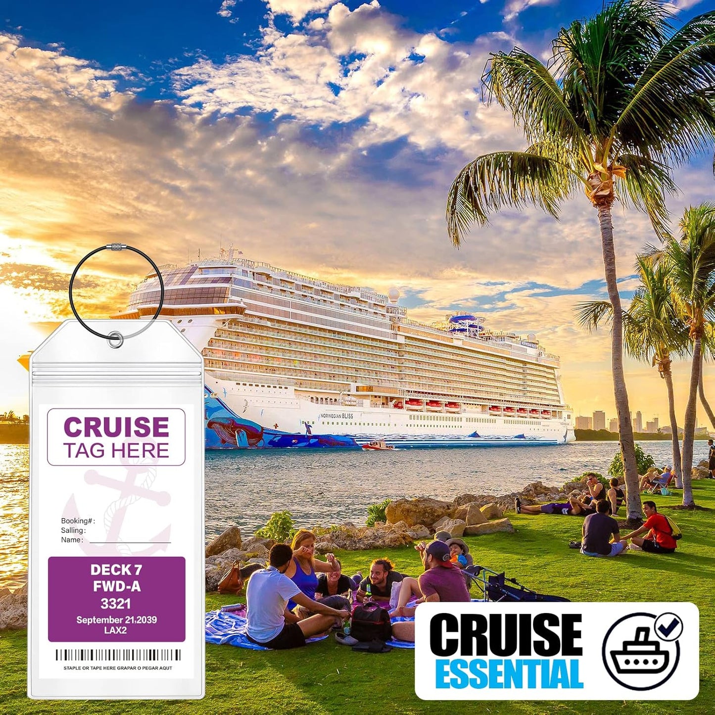 Cruise Luggage Tags for Carnival, MSC, Costa, NCL & Princess Cruise Ships, 6Pack Clear Tags Zip Seal Reusable Cruise Travel Essentials for 2025-2026